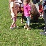phoca_thumb_m_ponk 65 Fotogalerie